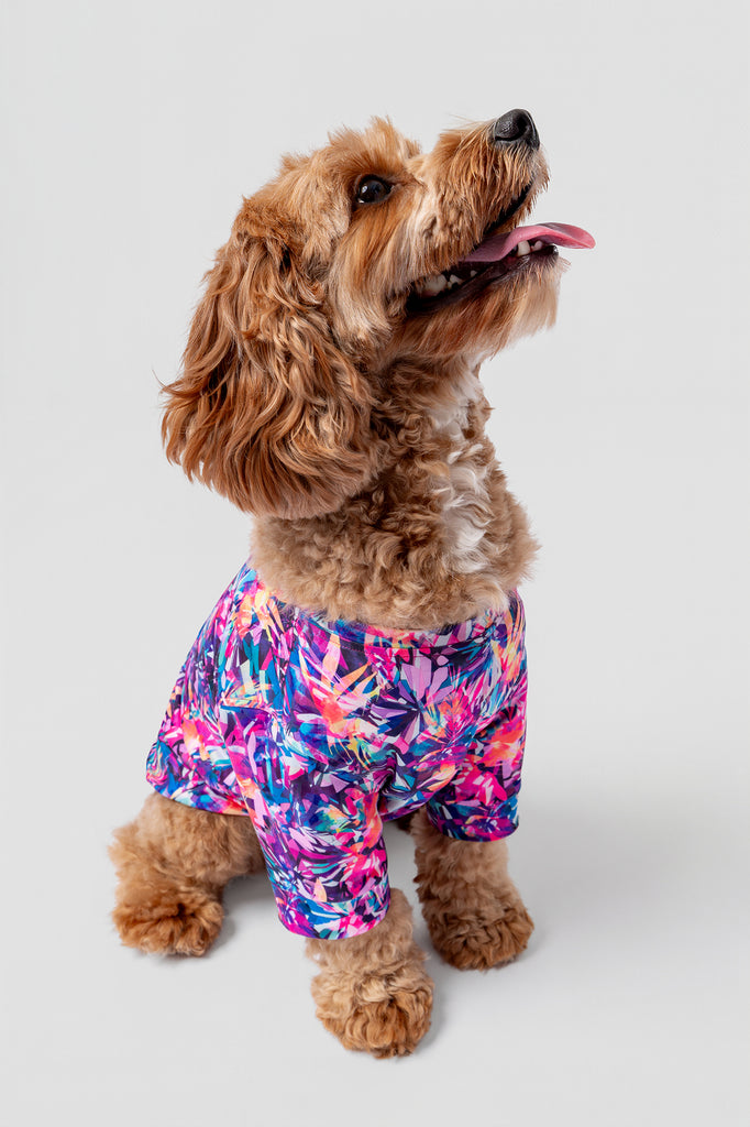 lelosi t-shirt lelopet alasie 0