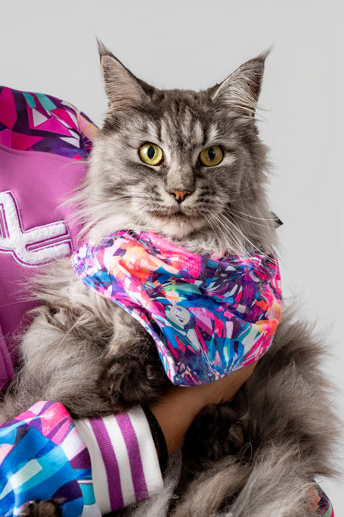 lelosi bandana lelopet alasie 0