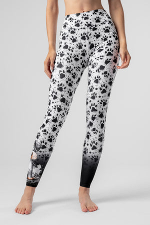 lelosi blanche 1